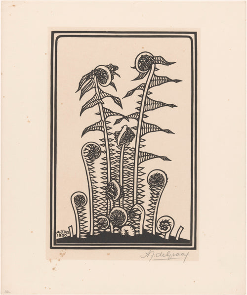 Stylised plant with seed heads by Julie de Graag — Curling fern fronds rise beside round textured seed heads