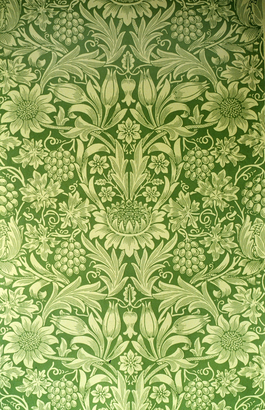 William Morris — Sunflower | Botanical Art Print shown to scale on a wall above a sofa