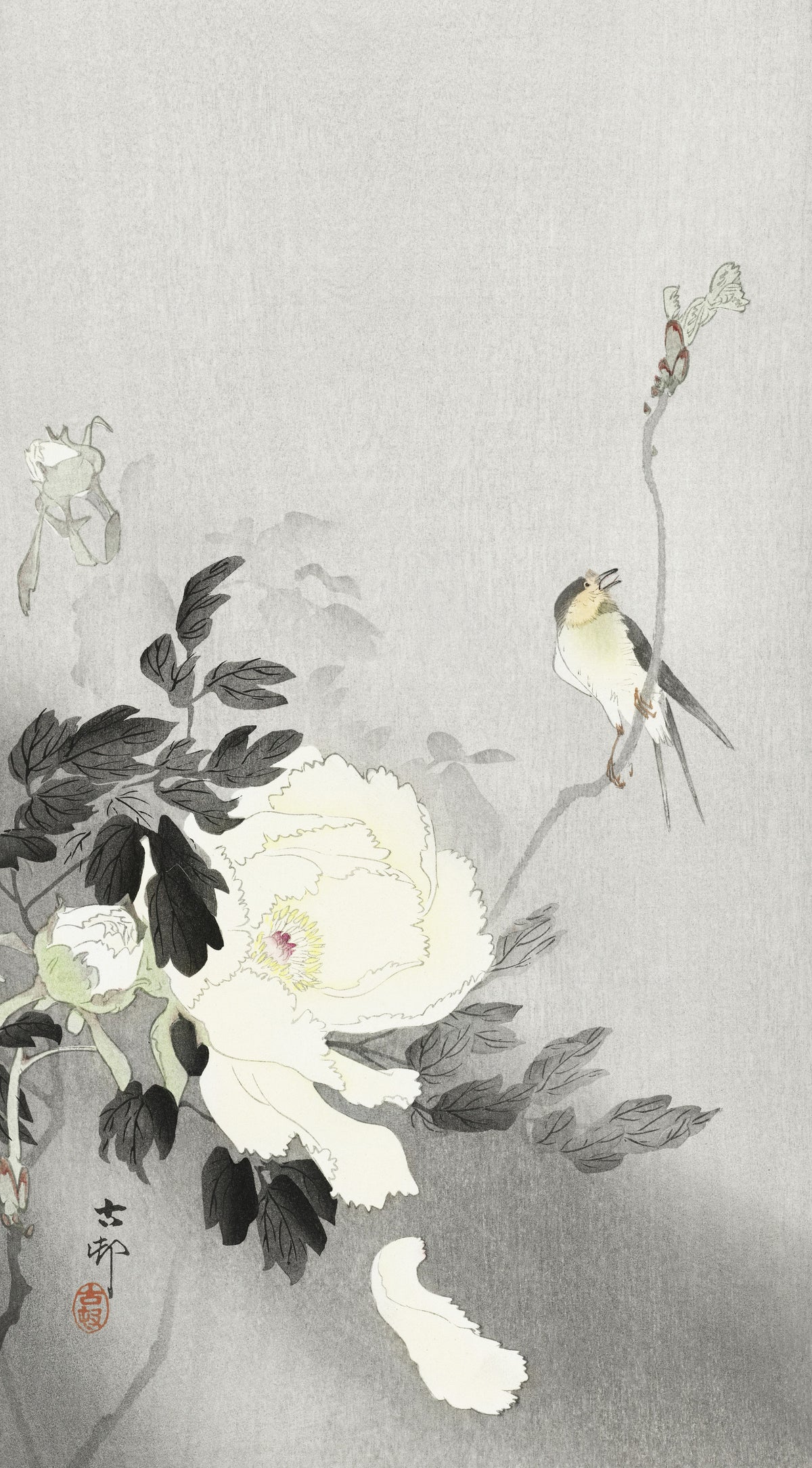 Swallow with Peony by Ohara Koson — A swallow sings above a white peony shedding a petal