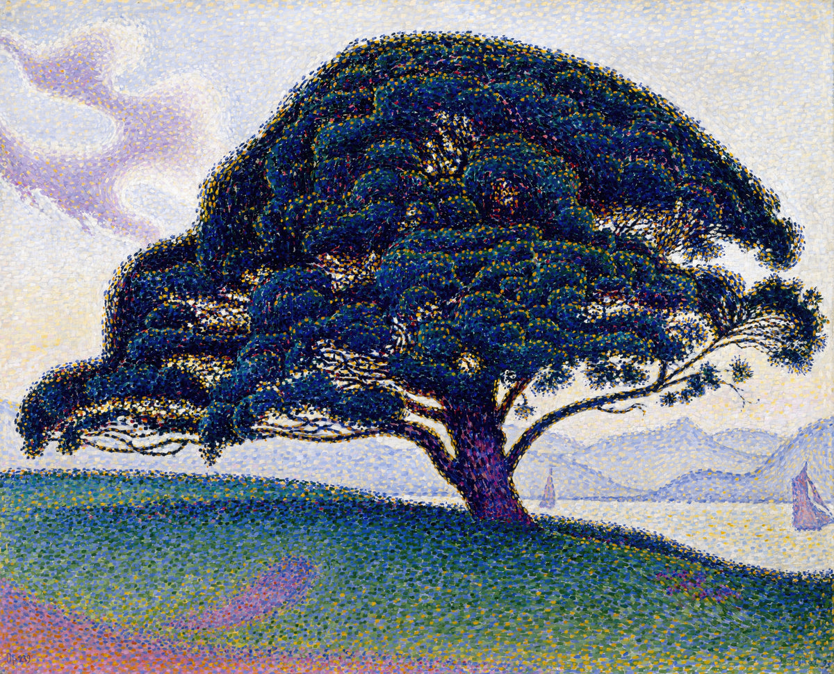 The Bonaventure Pine by Paul Signac — A broad pine over a bright bay and lilac hills