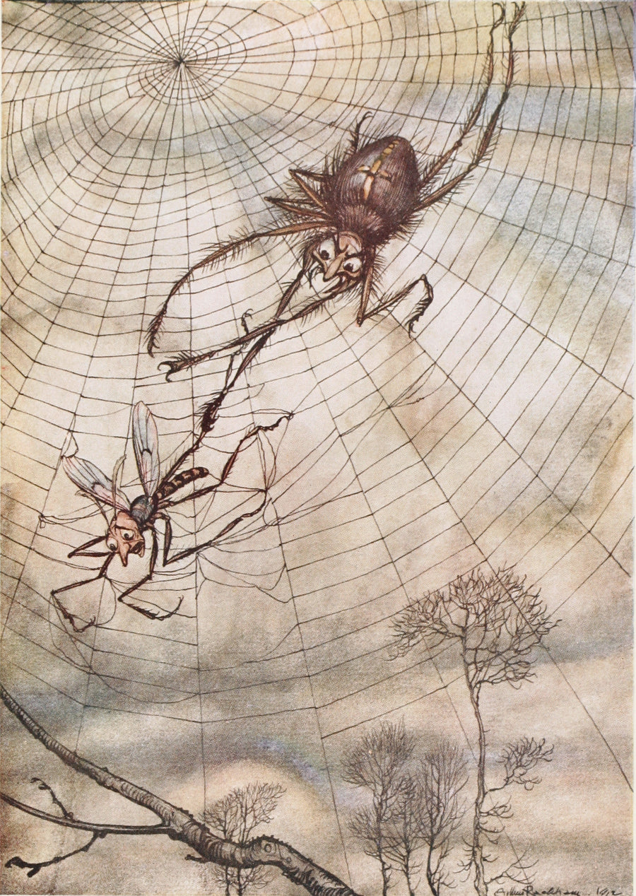 Arthur Rackham — The Gnat and the Lion | Fable Illustration Print shown to scale on a wall above a sofa