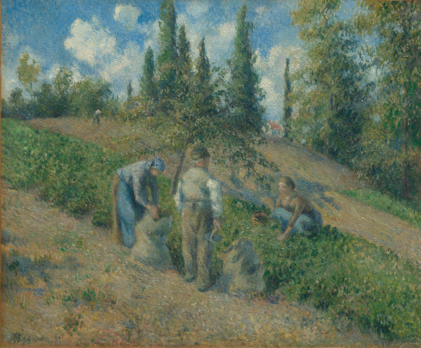 Camille Pissarro — The Harvest, Pontoise (La Récolte, Pontoise) | Fine Art Print