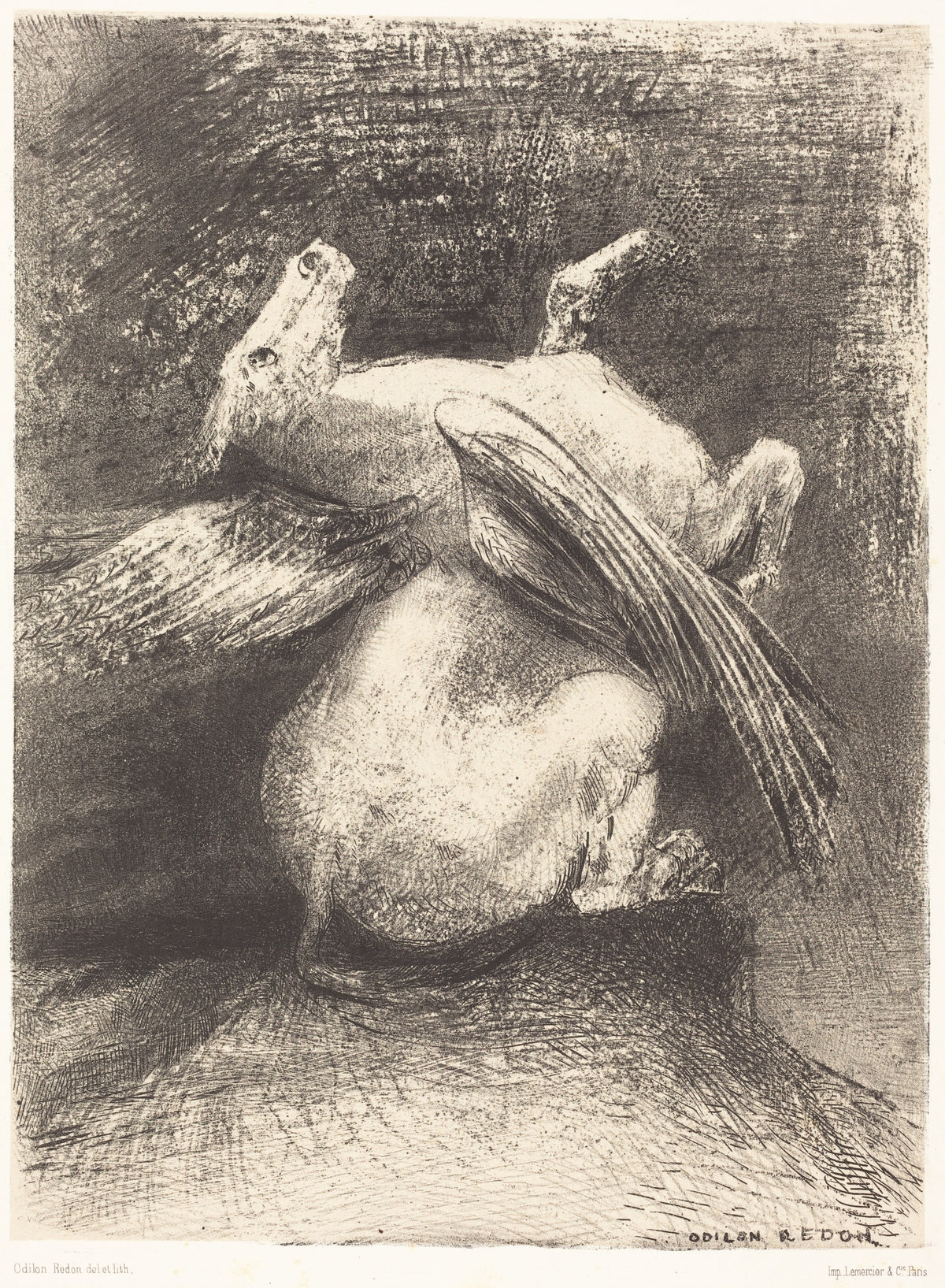 Odilon Redon — The Origins: The Impotent Wing Did Not Lift the Animal into That Black Space | Symbolist Art Print