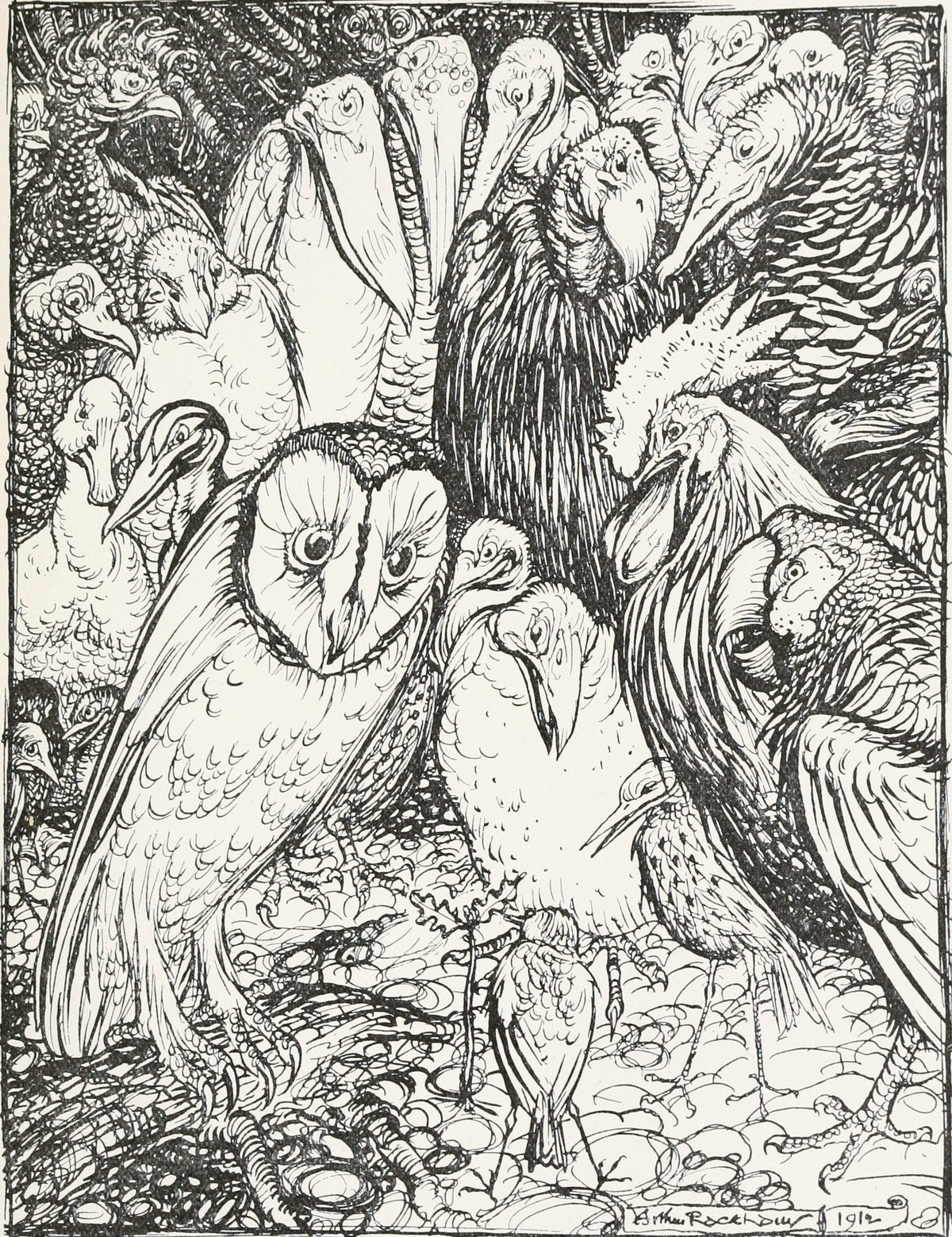 Arthur Rackham — The Owl and the Birds | Fable Illustration Print