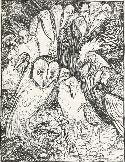 Arthur Rackham — The Owl and the Birds | Fable Illustration Print