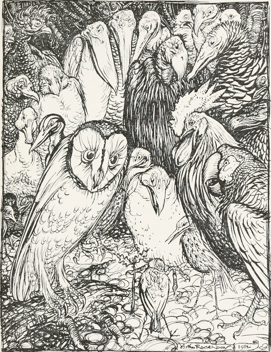 Arthur Rackham — The Owl and the Birds | Fable Illustration Print shown to scale on a wall above a sofa