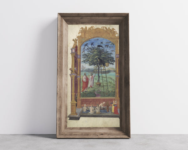 Splendor Solis — The Philosophical Tree | Illuminated Manuscript Print