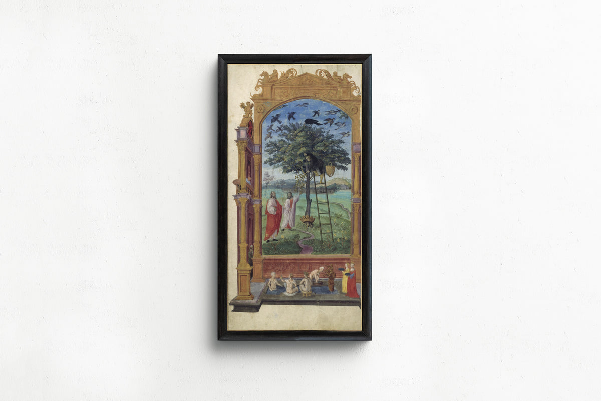 Splendor Solis — The Philosophical Tree | Illuminated Manuscript Print