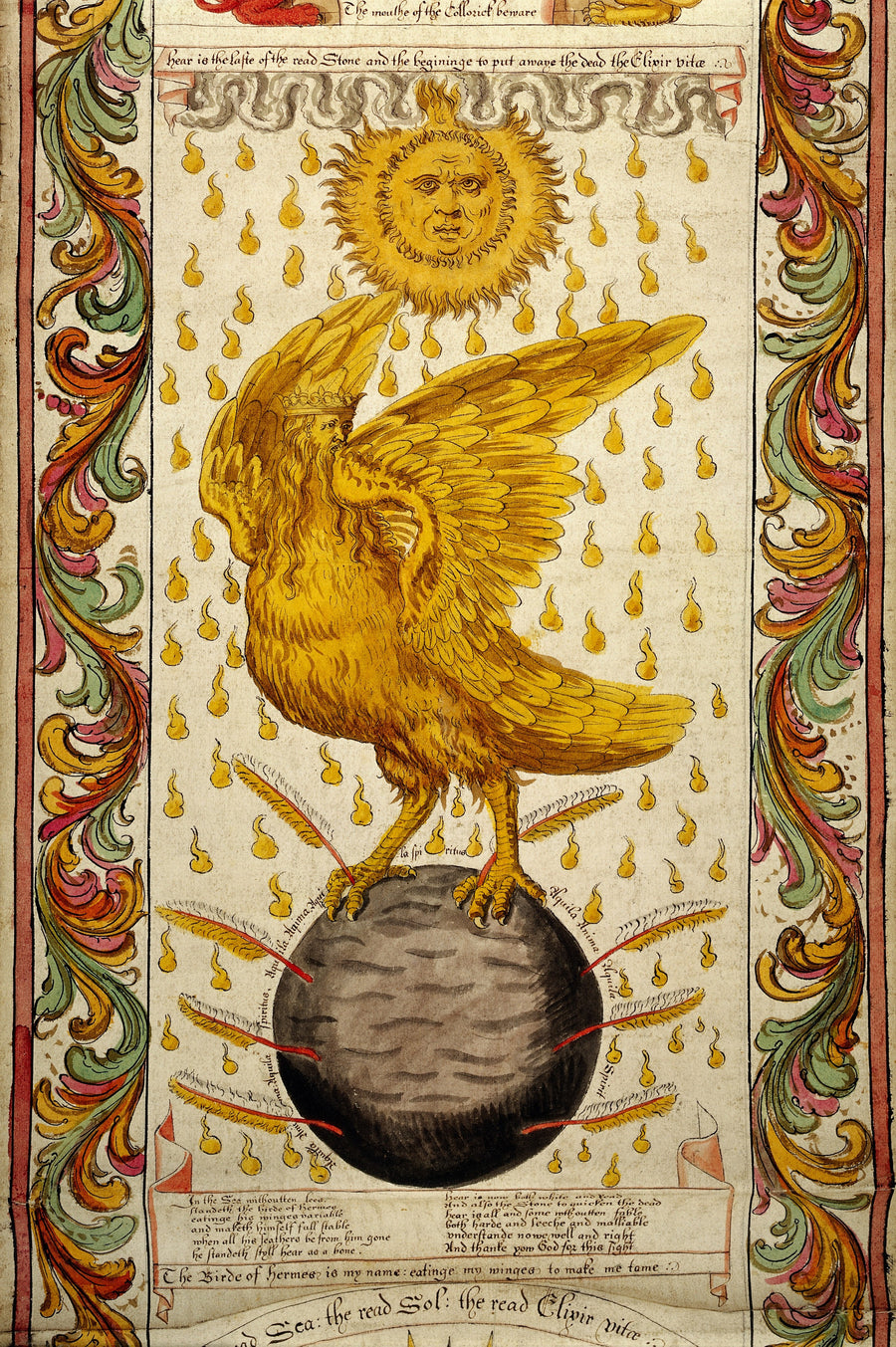 George Ripley — The Ripley Scroll: The Golden Winged Bird on the Black Earth | Illuminated Manuscript Print shown to scale on a wall above a sofa