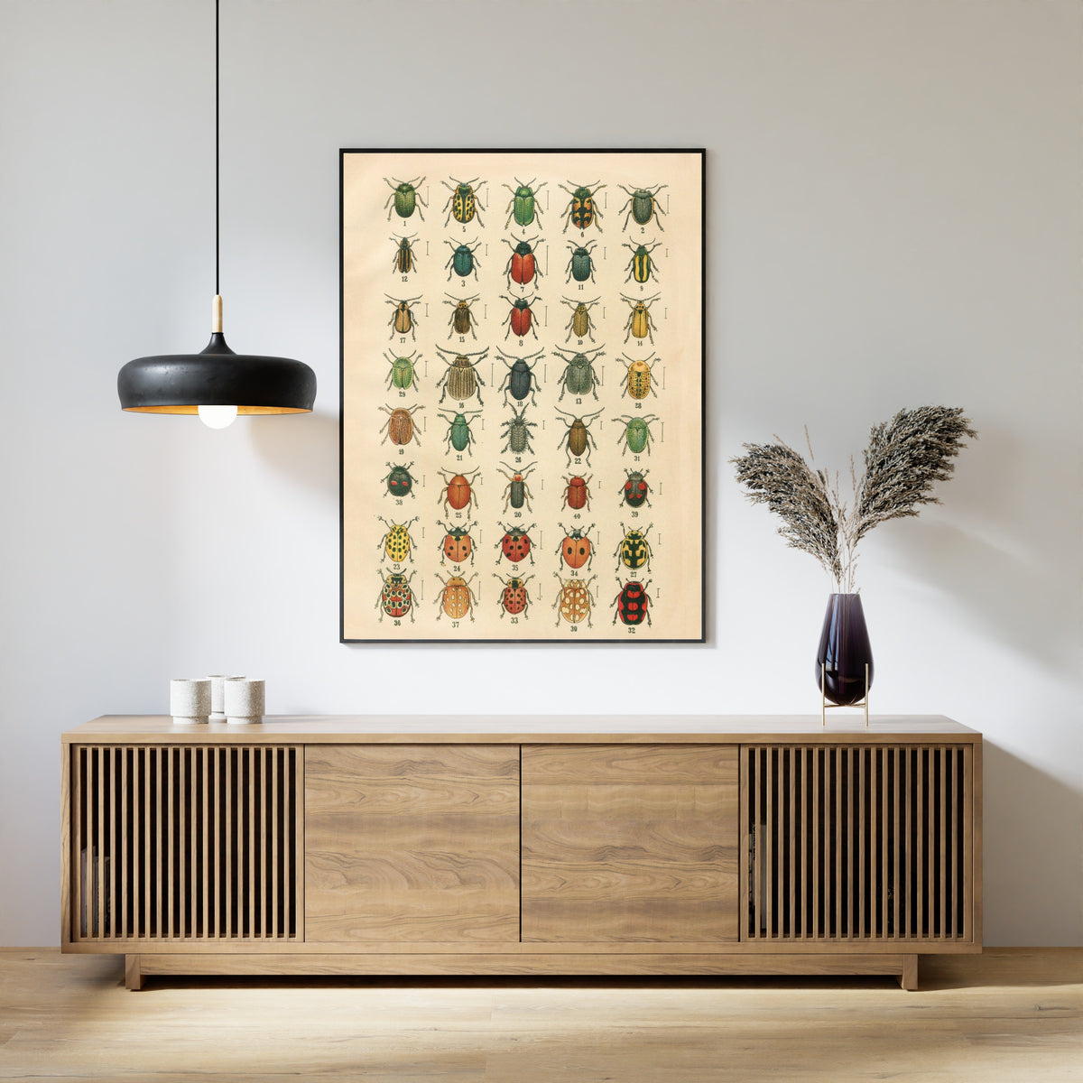 Karl Neunzig — The Beetles of Europe Pl.20 | Natural History Illustration Print