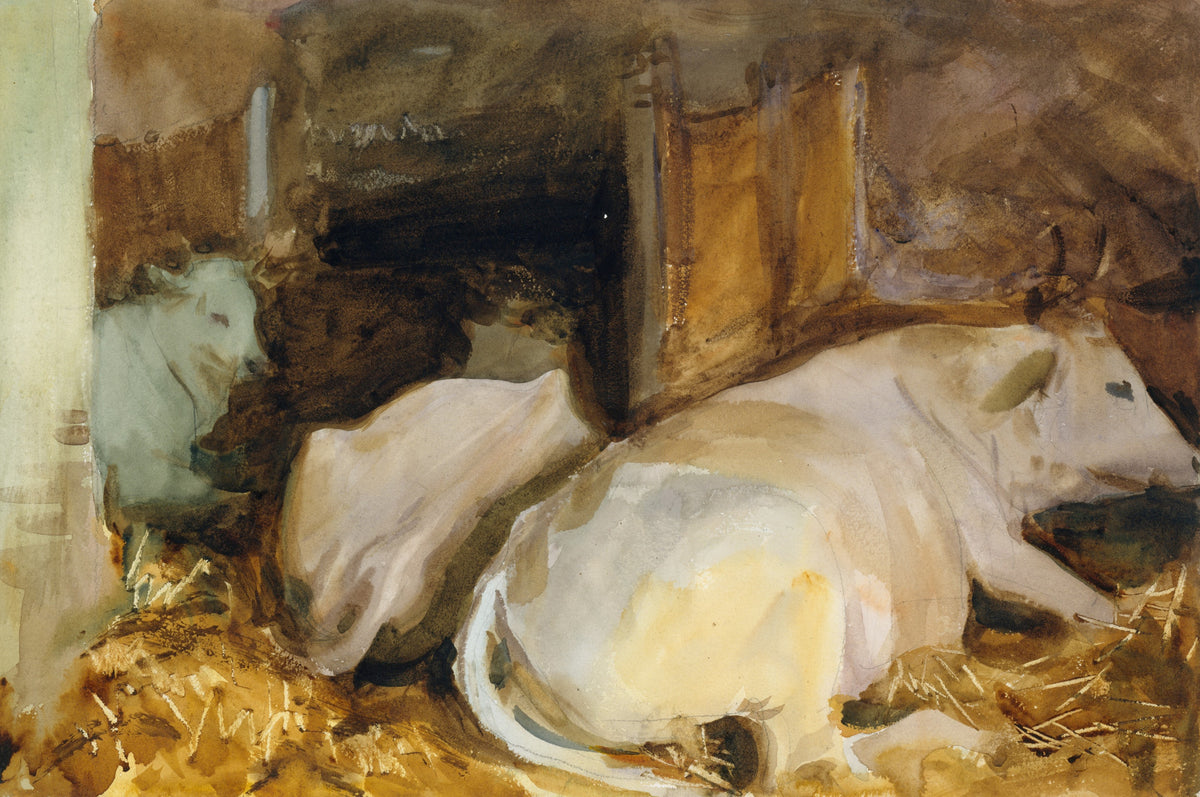 John Singer Sargent — Three Oxen | Fine Art Print