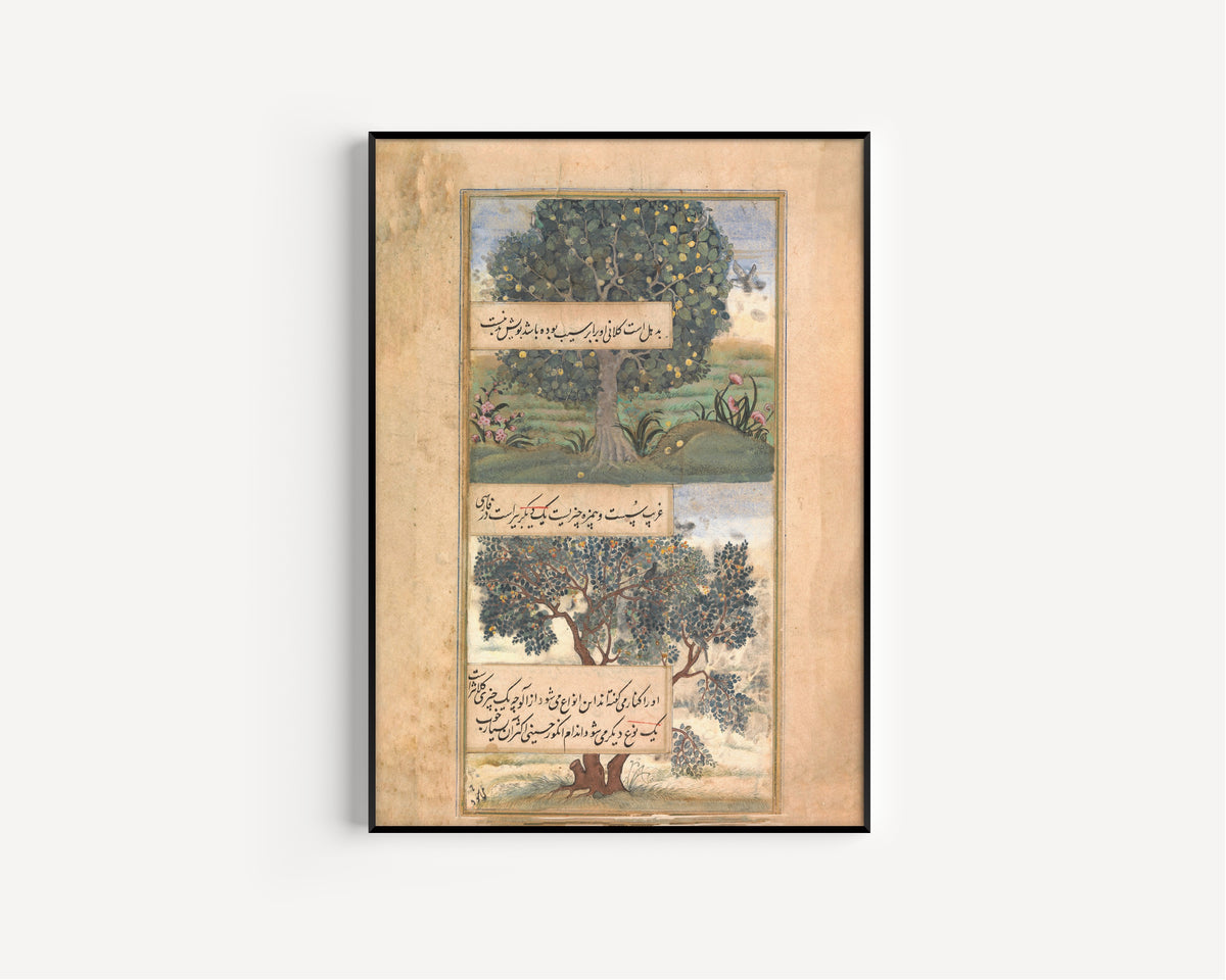 Mughal Court Painting — Three Trees of India | Mughal Painting Art Print