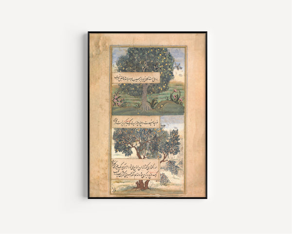 Mughal Court Painting — Three Trees of India | Mughal Painting Art Print