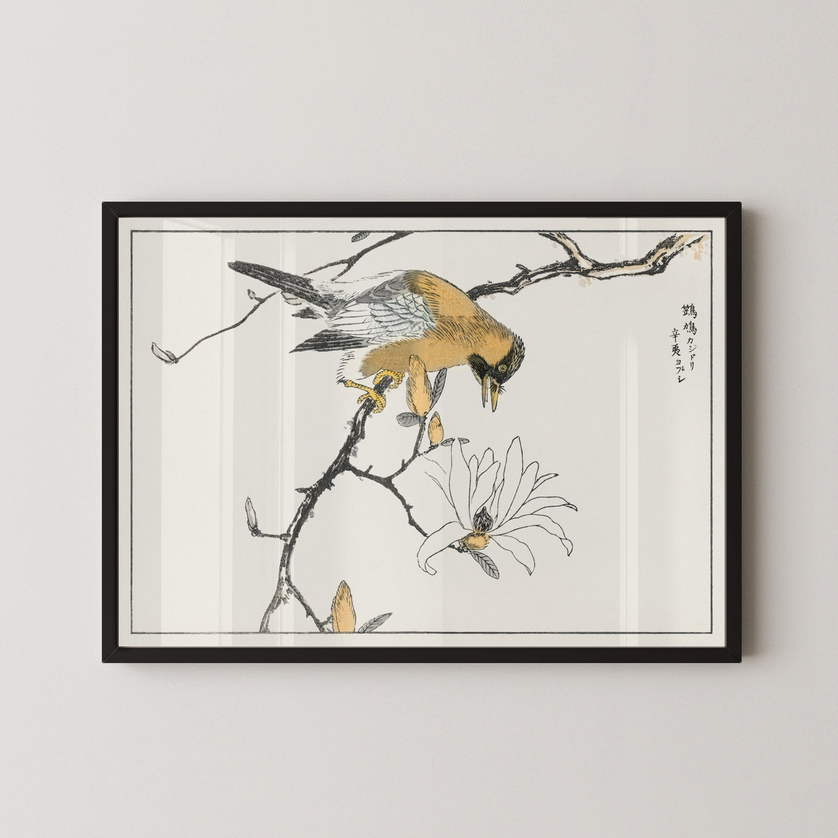 Numata Kashū — Eurasian Jay and Kobushi Magnolia | Japanese Bird & Flower Woodblock Print