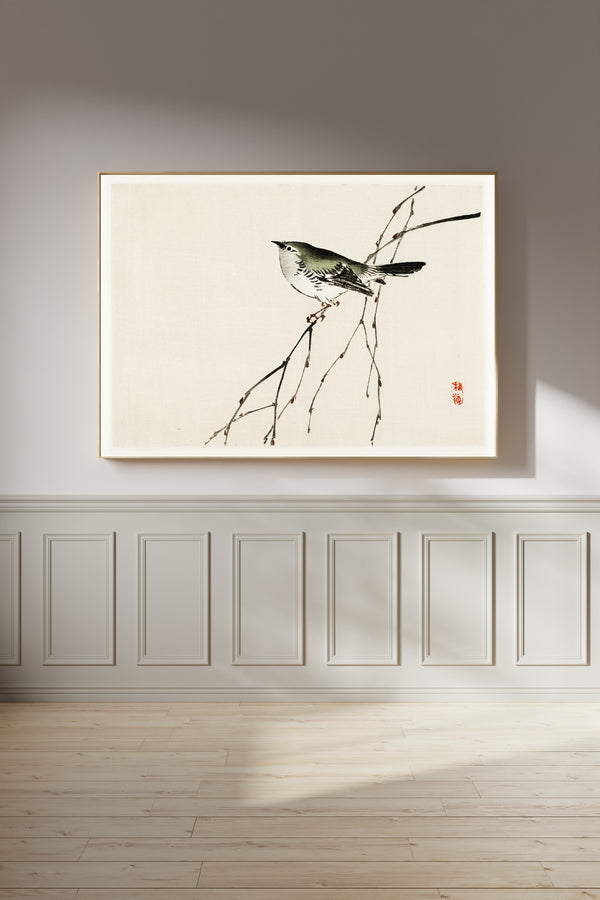 Kōno Bairei — Tit | Japanese Bird & Flower Woodblock Print