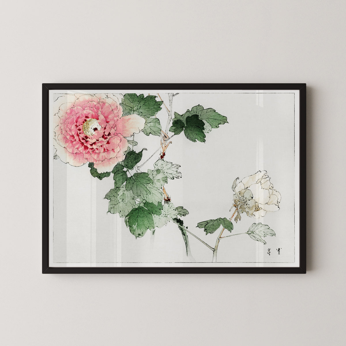Watanabe Seitei — Tree Peony | Japanese Bird & Flower Woodblock Print
