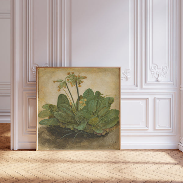 Albrecht Dürer — Tuft of Cowslips | Fine Art Print