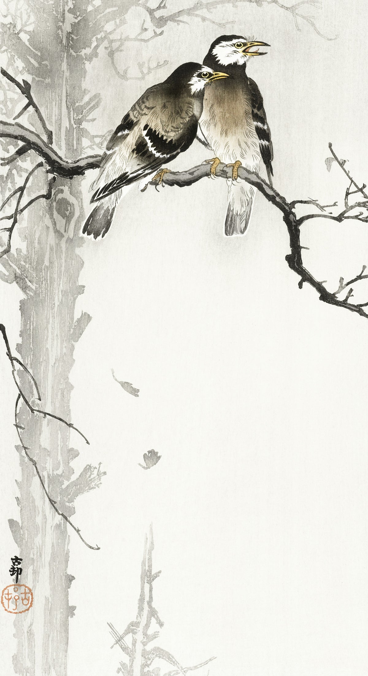 Two Grey Starlings by Ohara Koson — Two starlings share a bare branch beside a grey trunk