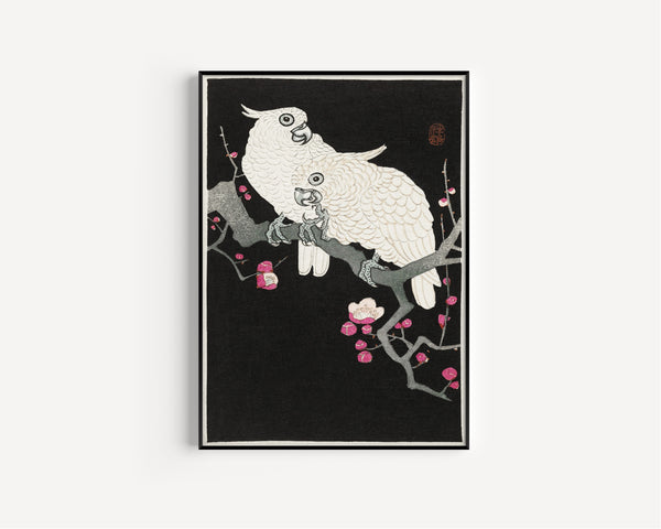 Ohara Koson — Two Cockatoos and Plum Blossom | Japanese Bird & Flower Woodblock Print