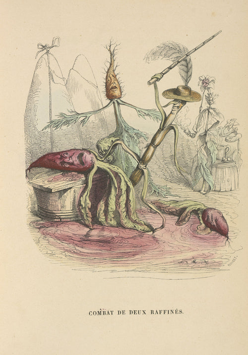 Un autre monde: Combat of Two Dandies by J. J. Grandville — Root and stalk creatures duel beside a spreading pink pool