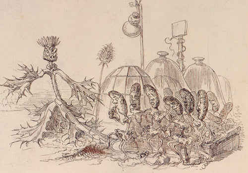 Une revolution vegetale by J. J. Grandville — A striding thistle beside plants with human faces under bell jars