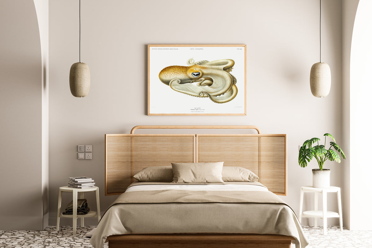 Ewald Heinrich Rübsaamen — Velodona togata (Plate LXXV) | Scientific Illustration Print