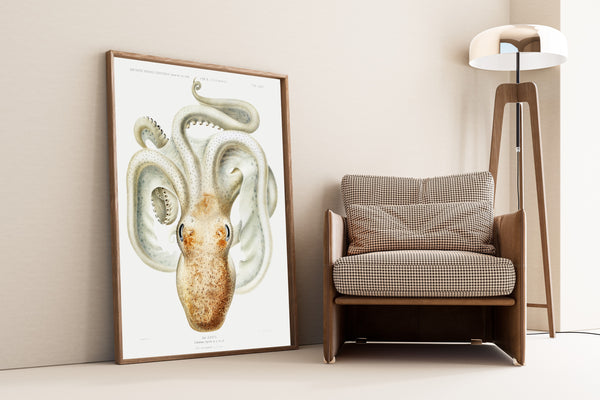 Ewald Heinrich Rübsaamen — Velodona togata (Plate LXXVI) | Scientific Illustration Print