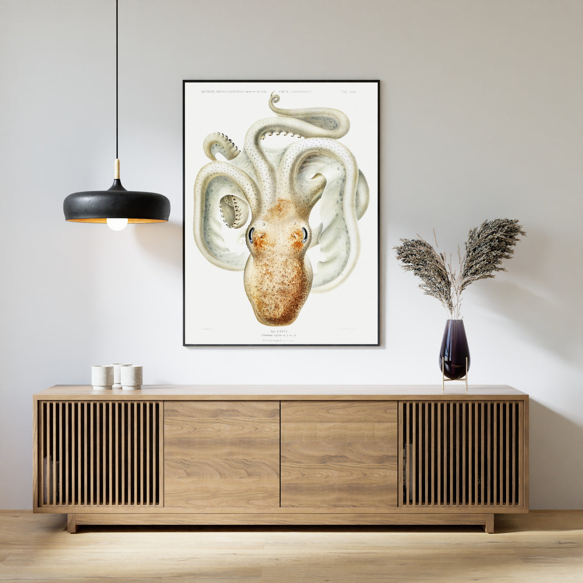Ewald Heinrich Rübsaamen — Velodona togata (Plate LXXVI) | Scientific Illustration Print