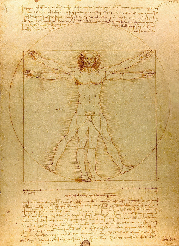 Leonardo da Vinci — Vitruvian Man | Fine Art Print