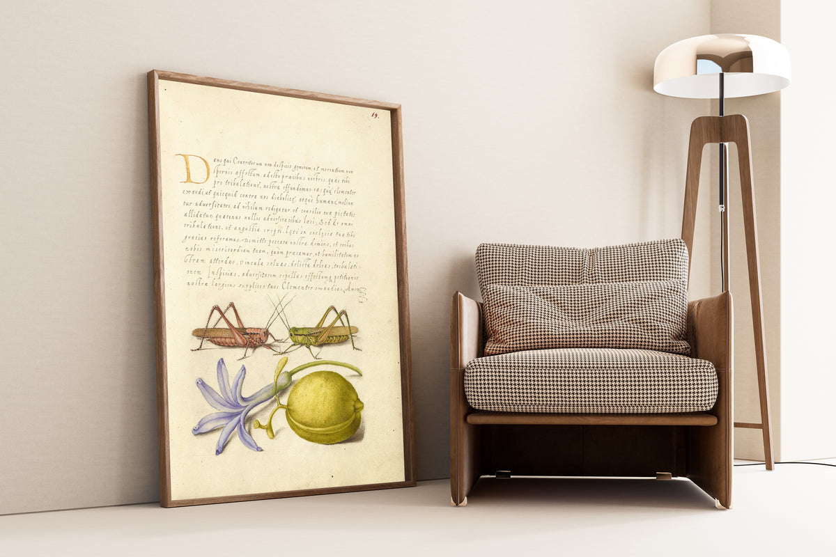 Joris Hoefnagel — Wart-Biter, Grasshopper, Hyacinth, and Almond | Botanical Calligraphy Print