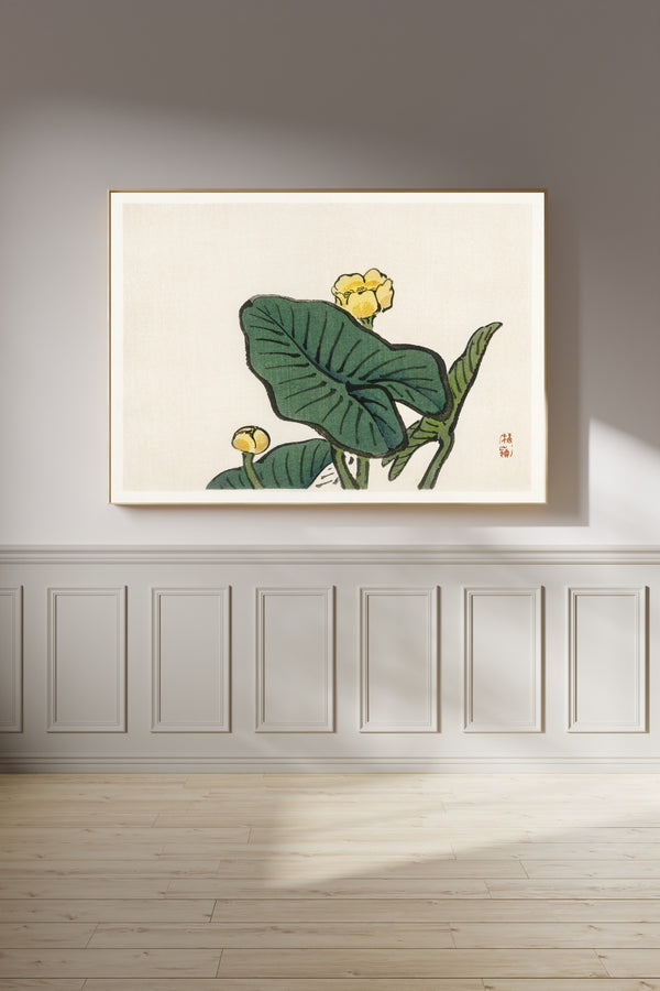 Kōno Bairei — Water-lily (Bairei Gakan) | Japanese Bird & Flower Woodblock Print
