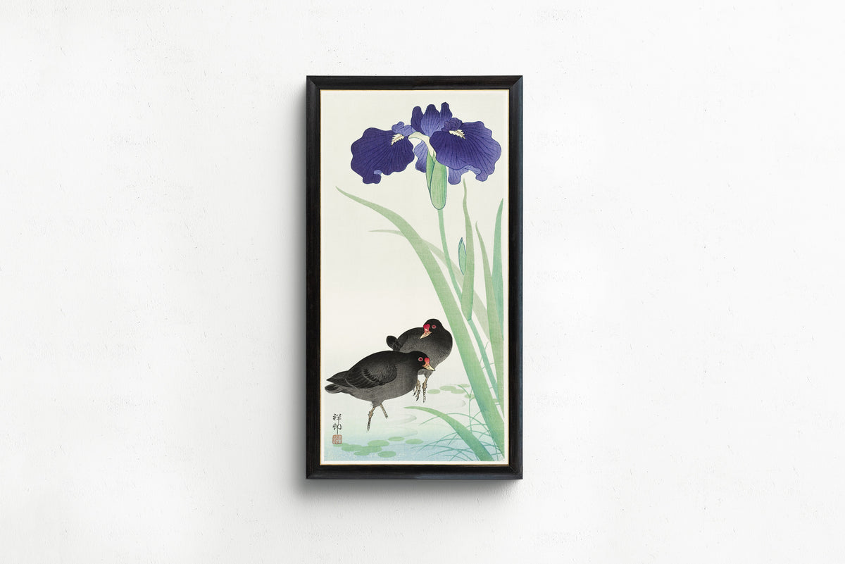Ohara Koson — Moorhens and Iris | Japanese Bird & Flower Woodblock Print