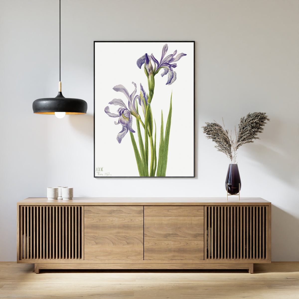 Mary Vaux Walcott — Western Blue Flag (Iris missouriensis) | Fine Art Print