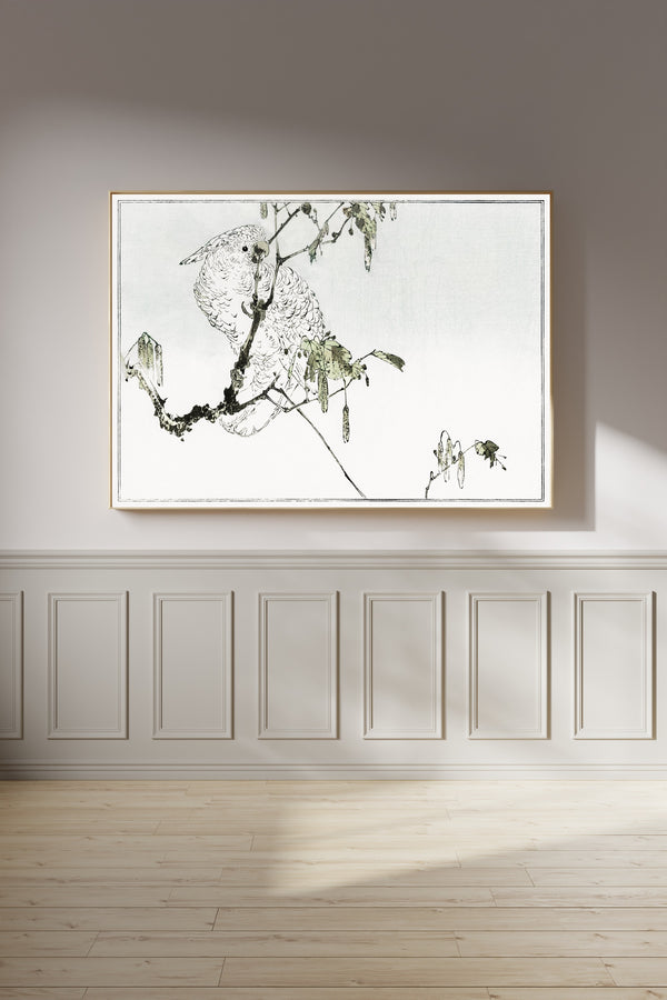 Watanabe Seitei — White cockatoo perched on a branch | Japanese Bird & Flower Woodblock Print