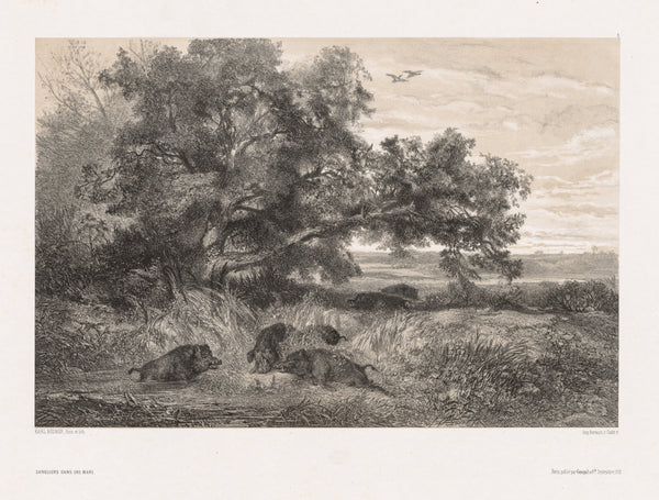 Karl Bodmer — Wild Boar in a Pond | Fine Art Print