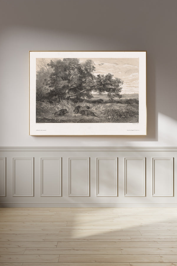 Karl Bodmer — Wild Boar in a Pond | Fine Art Print