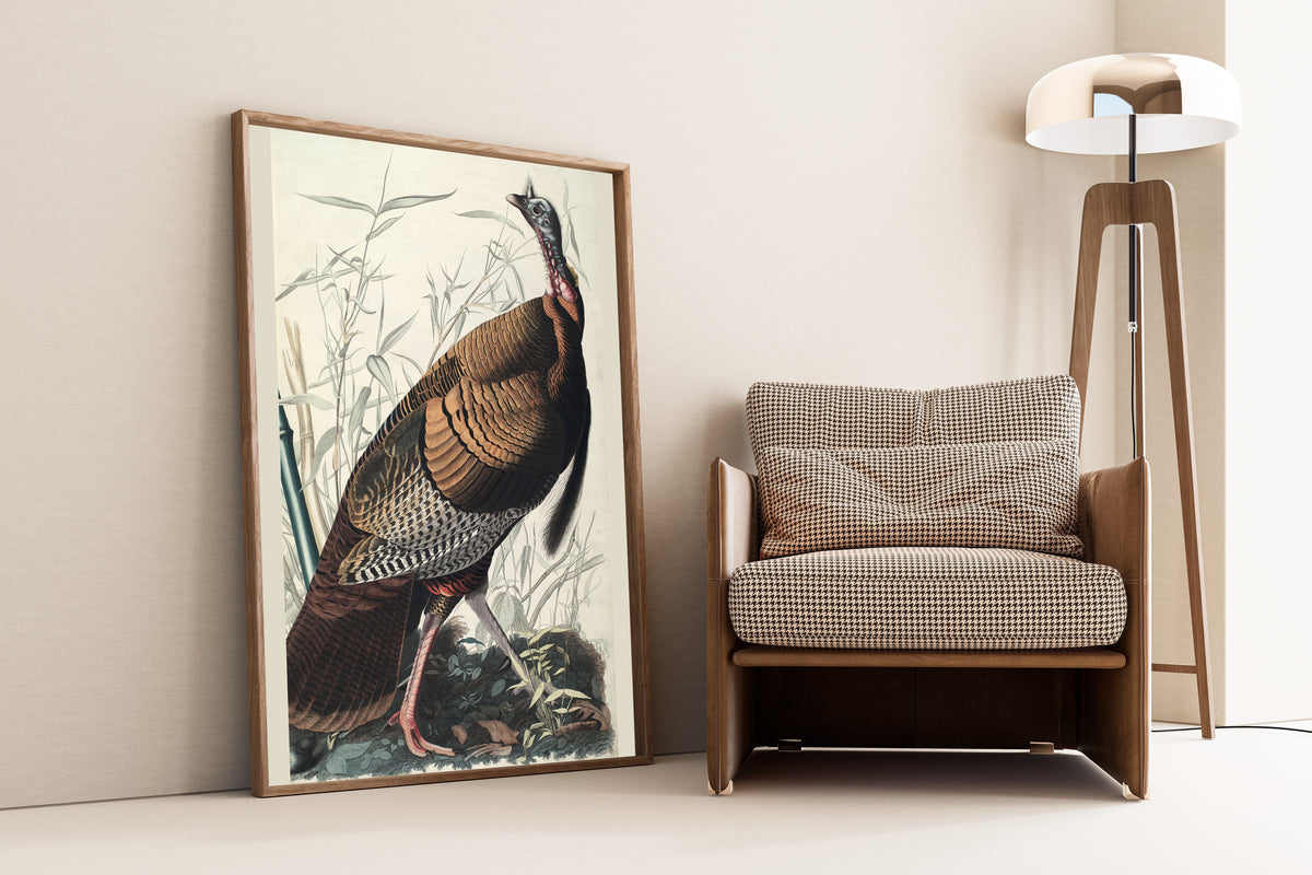 John James Audubon — Wild Turkey | Natural History Print