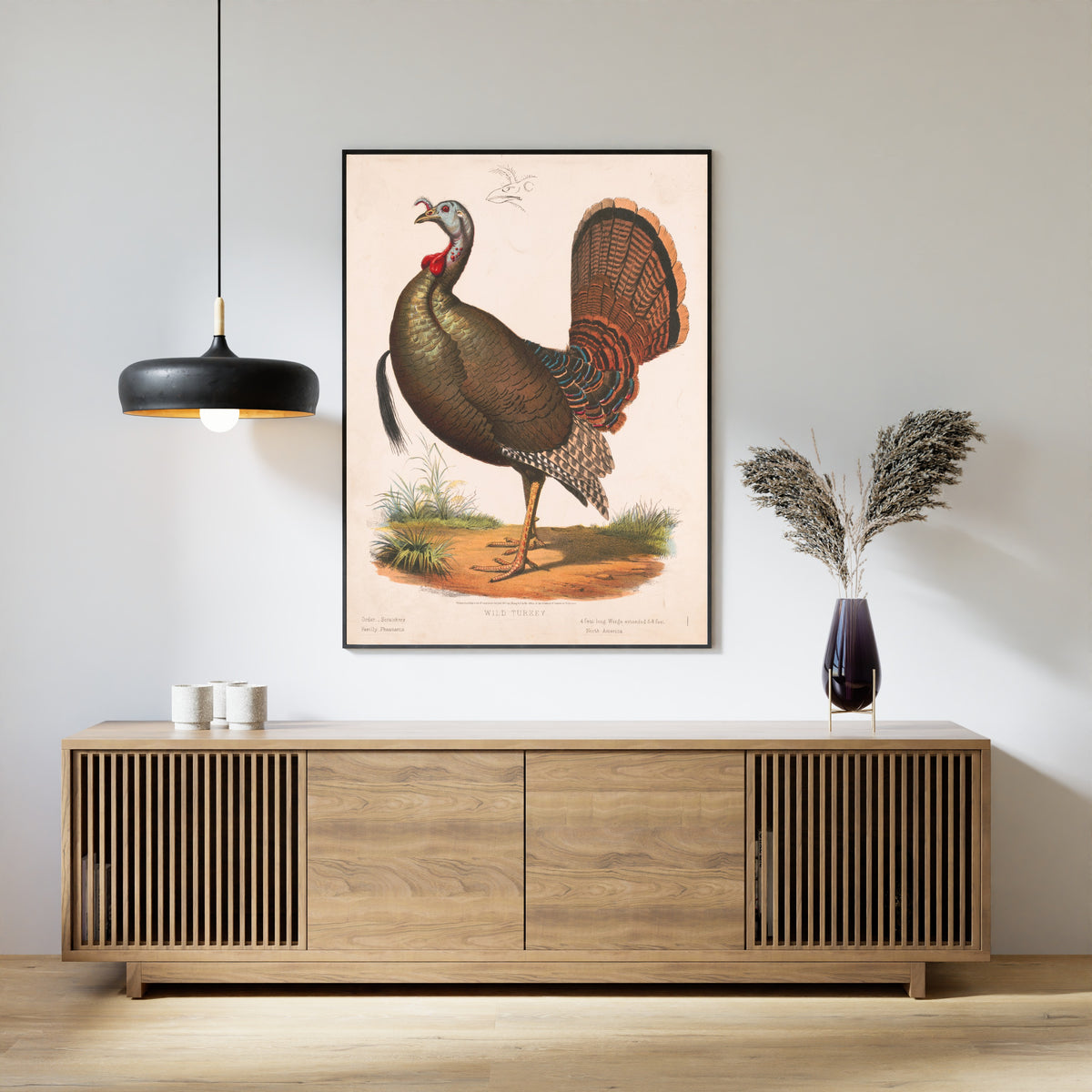 Louis Prang & Co. — Wild Turkey | Natural History Print