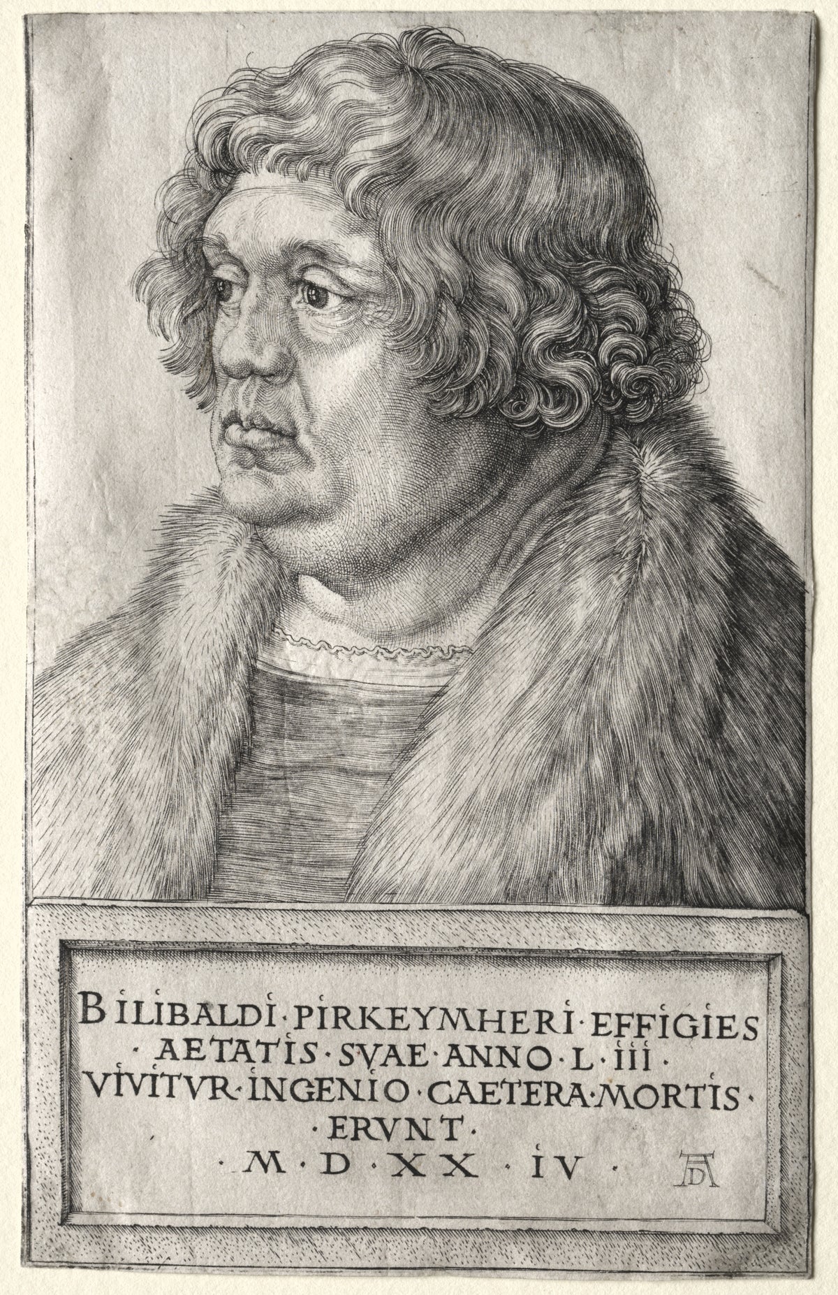 Albrecht Dürer — Willibald Pirkheimer | Engraving Print