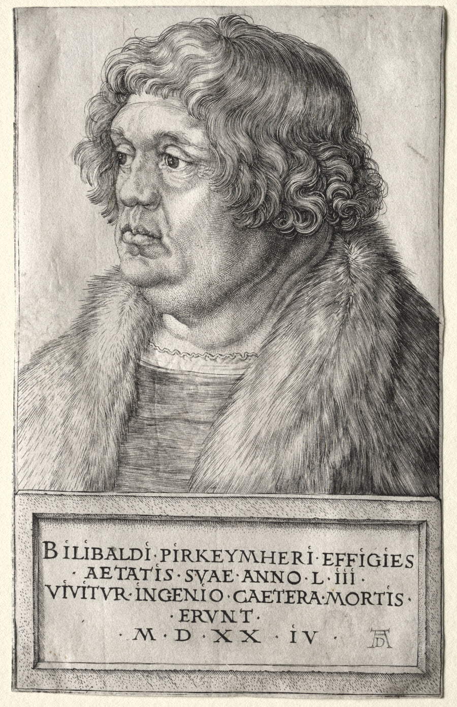 Albrecht Dürer — Willibald Pirkheimer | Engraving Print shown to scale on a wall above a sofa