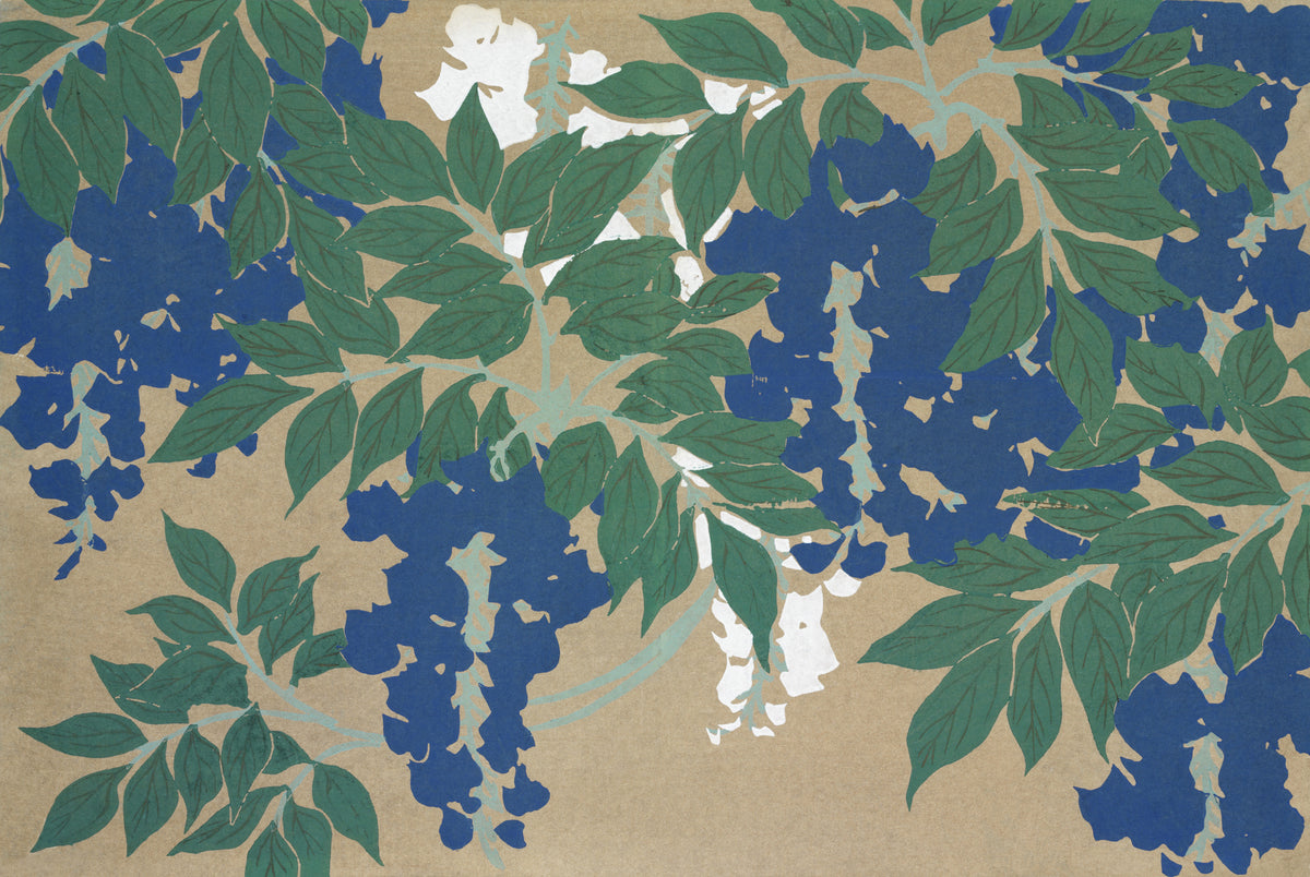 Kamisaka Sekka — Wisteria (Momoyogusa) | Japanese Woodblock Print