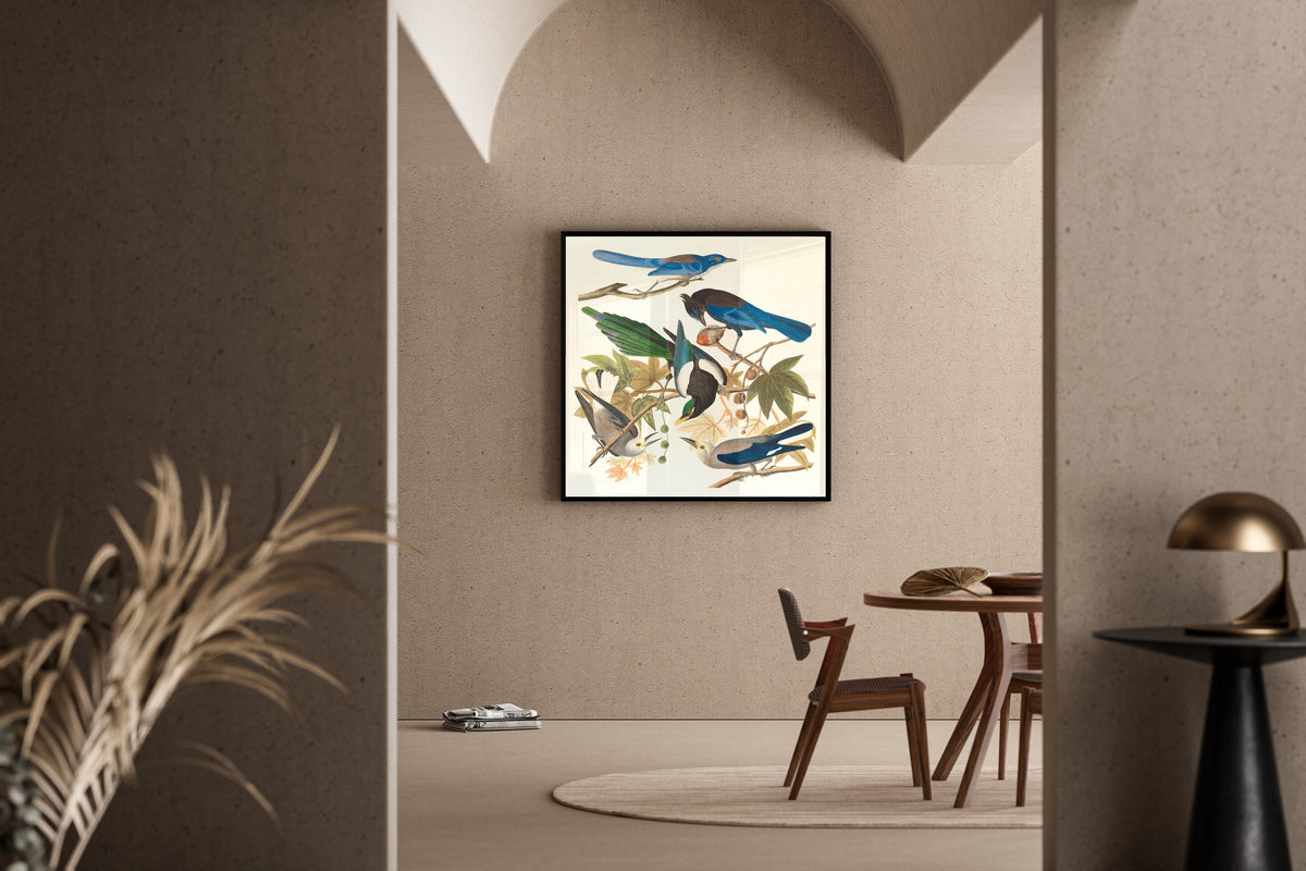 John James Audubon — Yellow-billed Magpie, Steller's Jay, Ultramarine Jay and Clark's Crow | Natural History Print