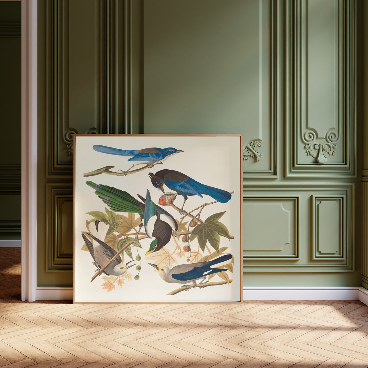 John James Audubon — Yellow-billed Magpie, Steller's Jay, Ultramarine Jay and Clark's Crow | Natural History Print