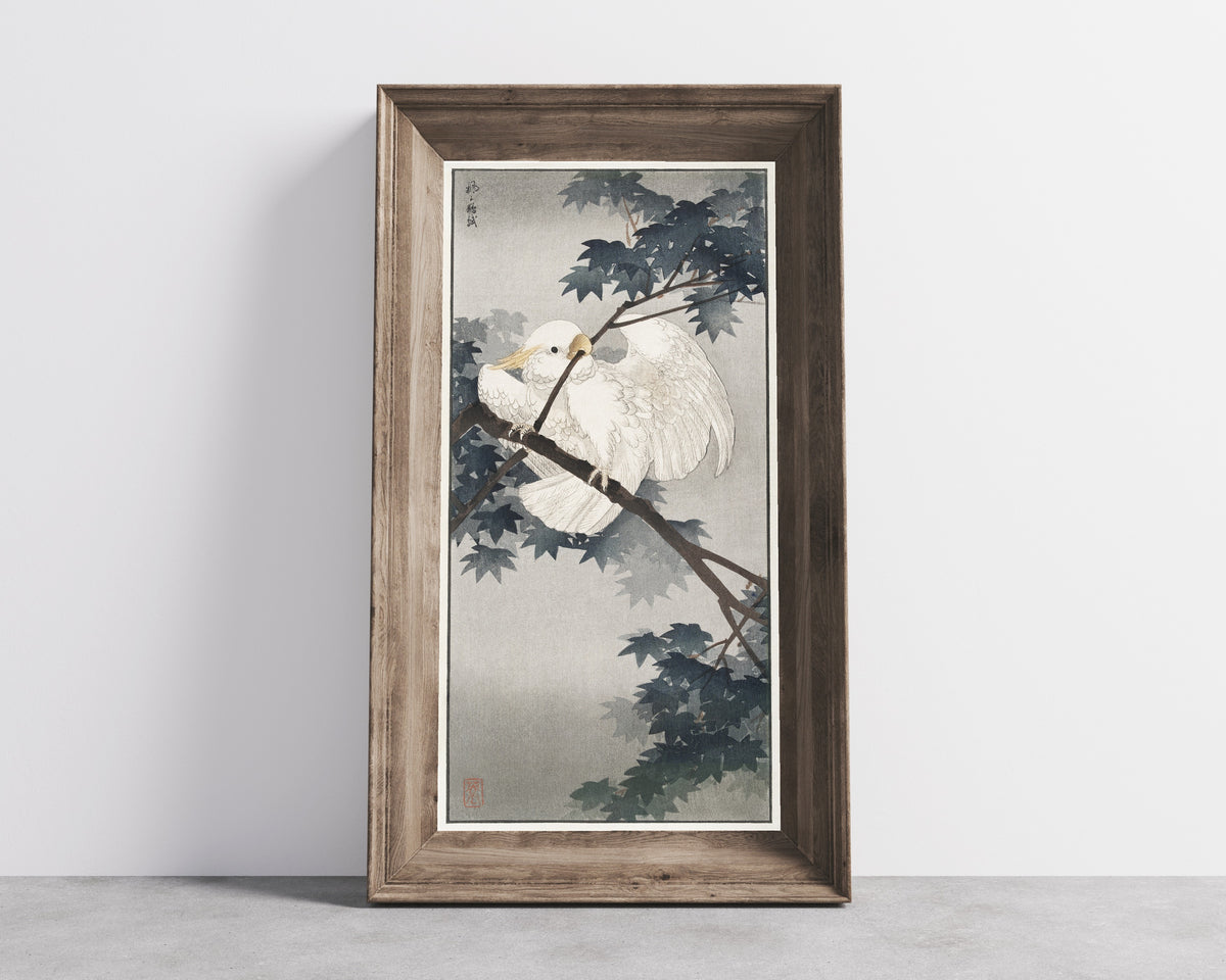Ohara Koson — Yellow-crested Cockatoo in Tree | Japanese Bird & Flower Woodblock Print