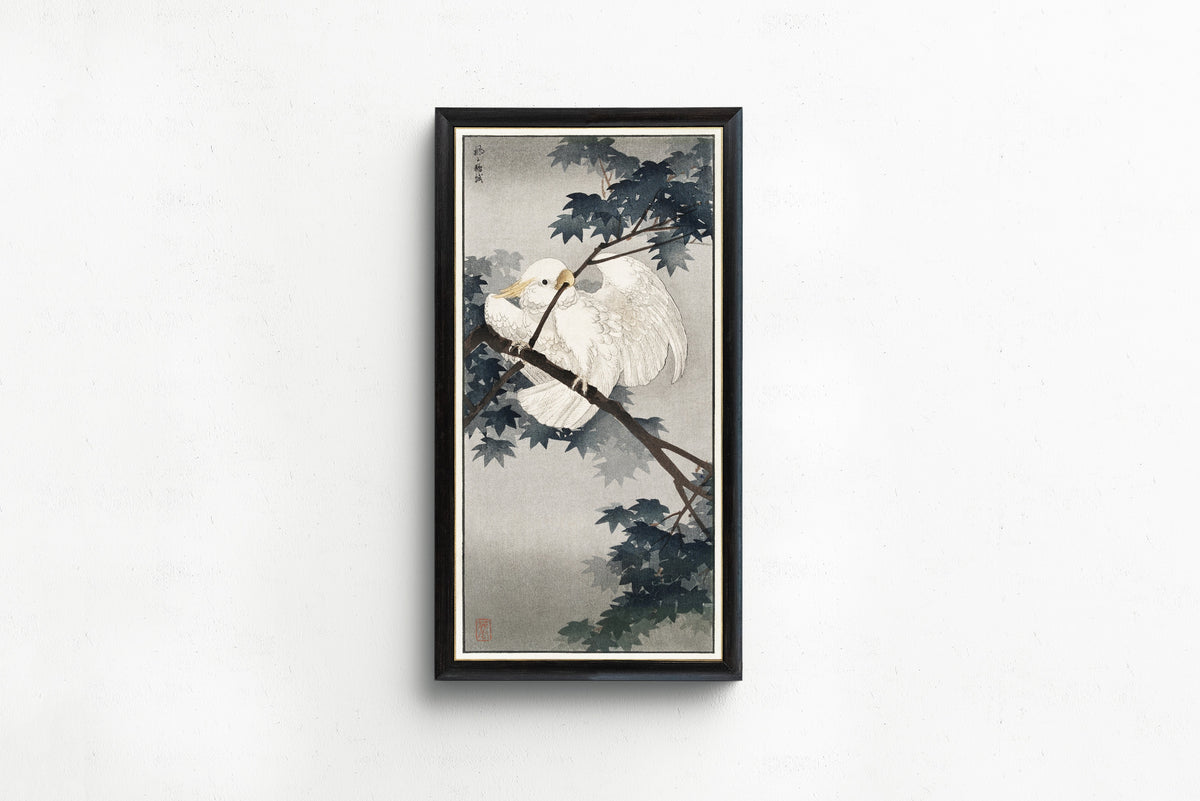 Ohara Koson — Yellow-crested Cockatoo in Tree | Japanese Bird & Flower Woodblock Print