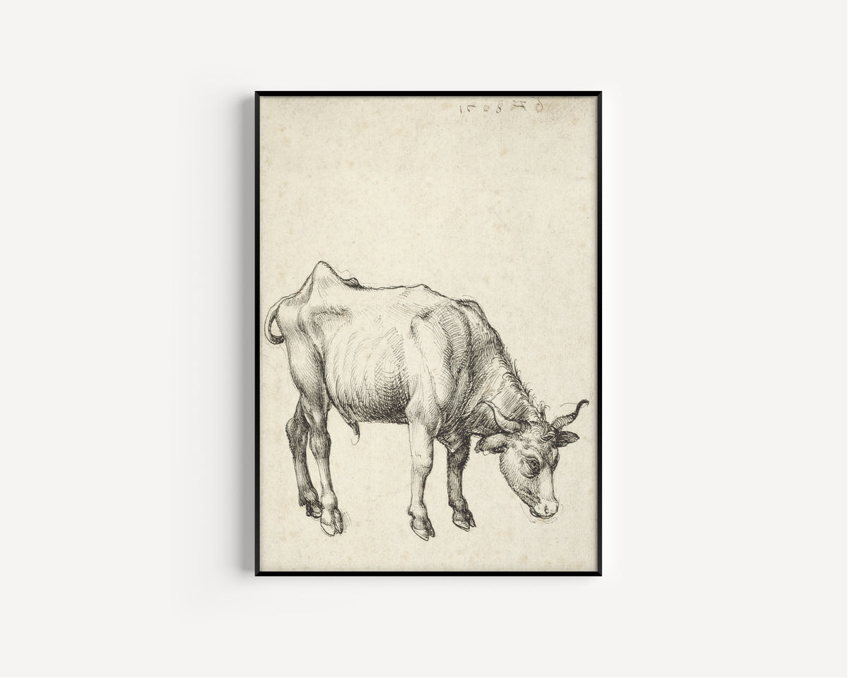 Albrecht Dürer — Young Bull | Fine Art Print
