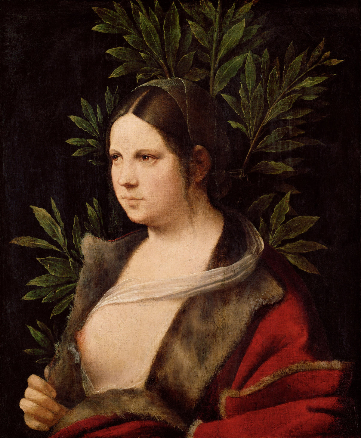 Young Woman (“Laura”) by Giorgione — A woman before a spray of laurel, her red cloak open
