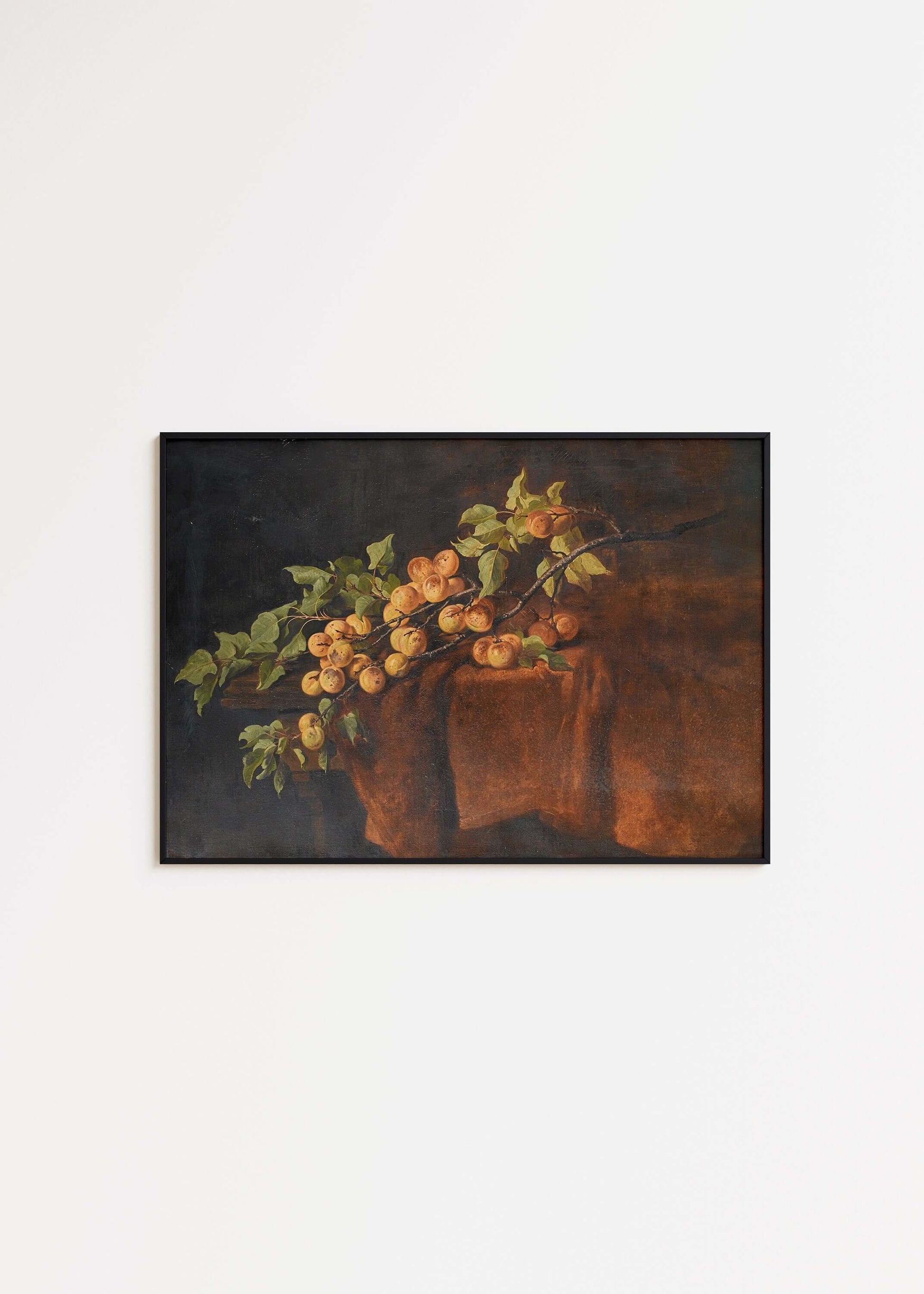 Adam Ludwig Kunz - Apricot Branch | Famous Still Life Art (available framed or unframed) - 9ArtPrints