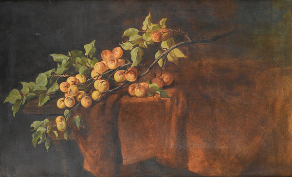 Adam Ludwig Kunz — Apricot Branch | Fine Art Print