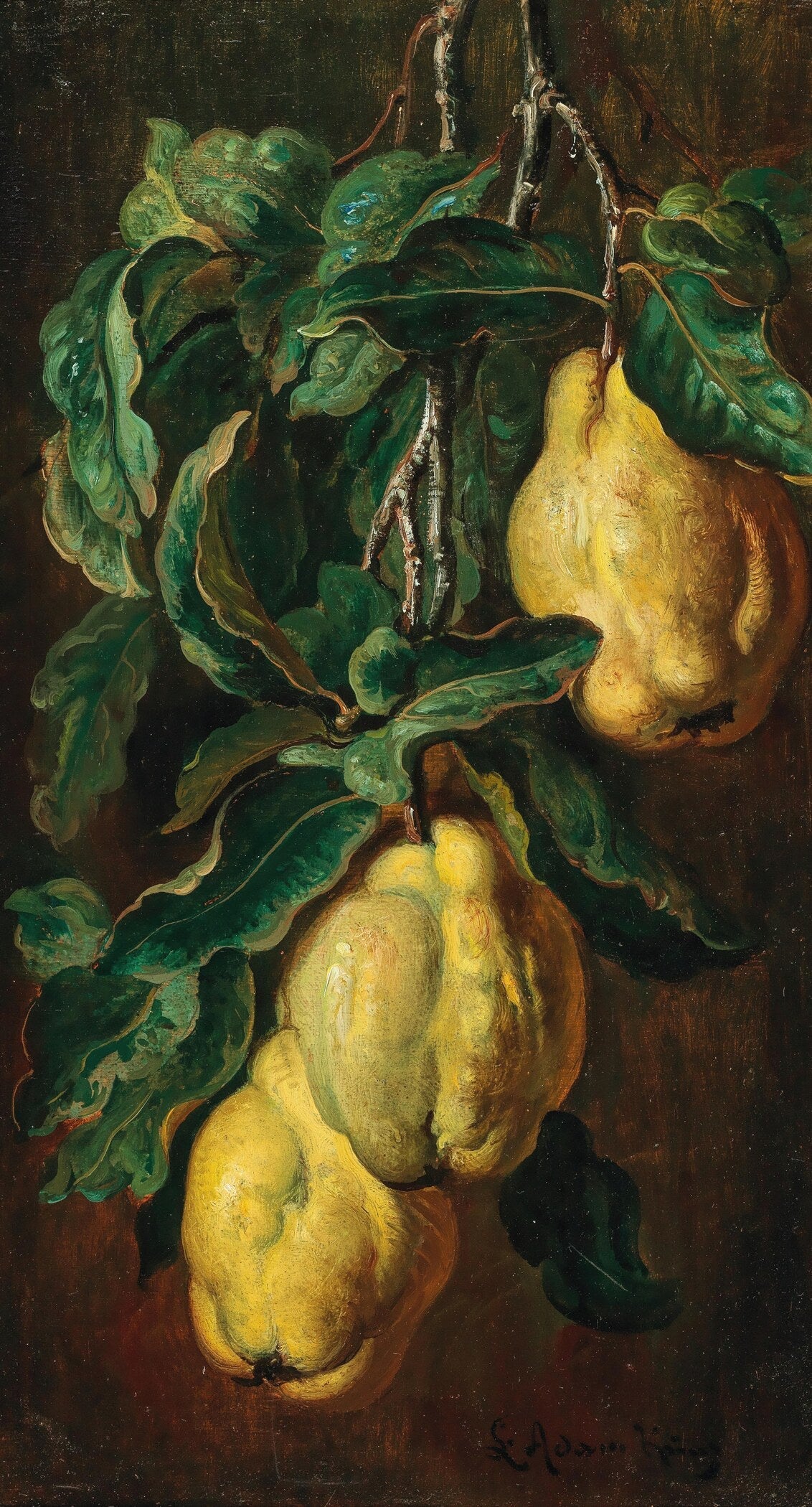 Adam Ludwig Kunz — Quinces (Botanical) | Fine Art Print - 9ArtPrints